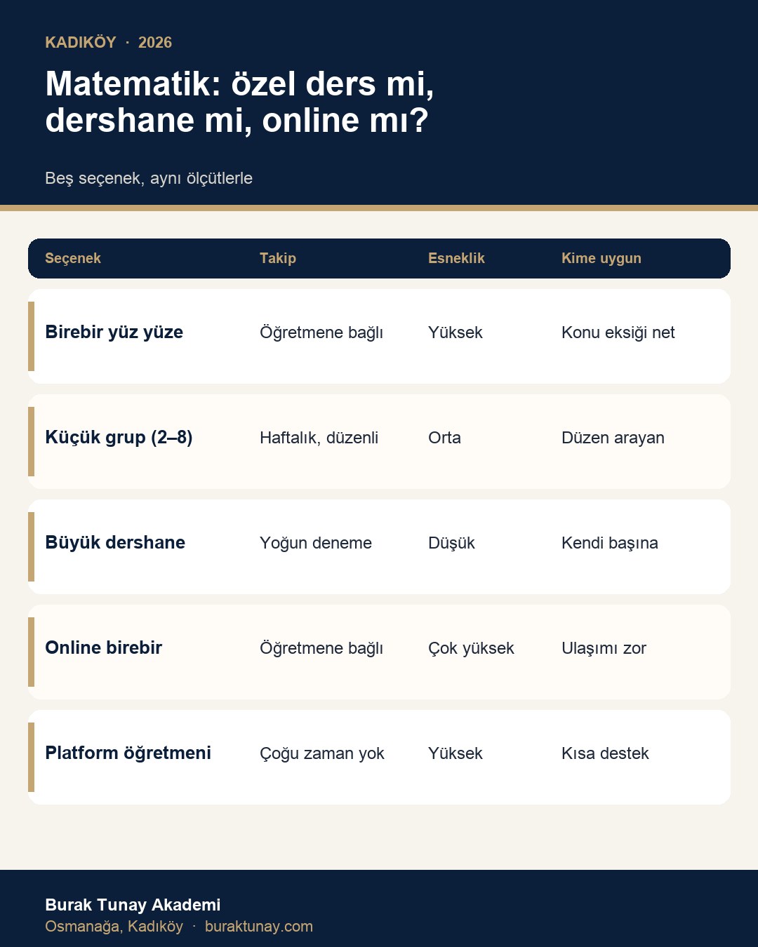 Matematik özel ders, küçük grup, dershane ve online ders karşılaştırma infografiği, Kadıköy 2026